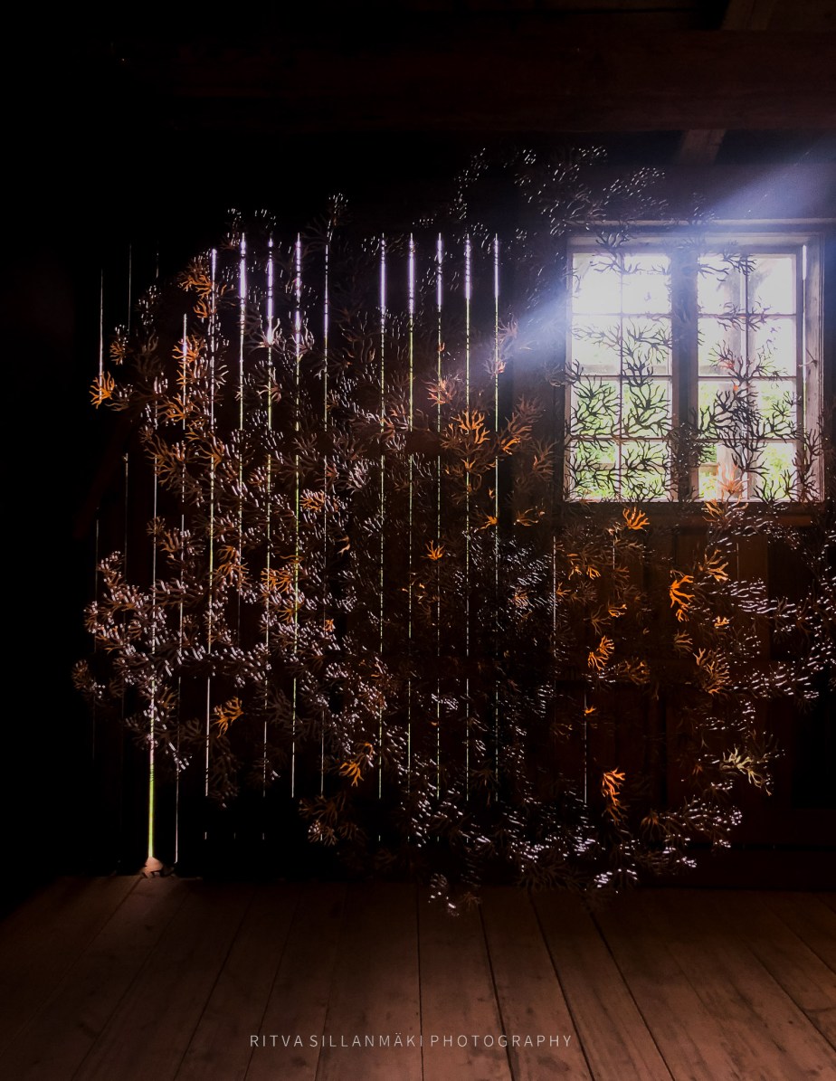 Rediscovering Lost Perspectives