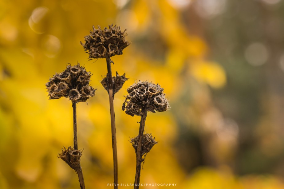 Last on the Card – October&nbsp;2024