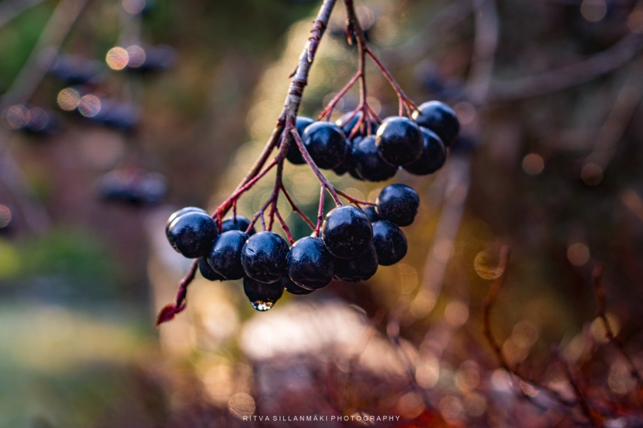 it’s in the&nbsp;details