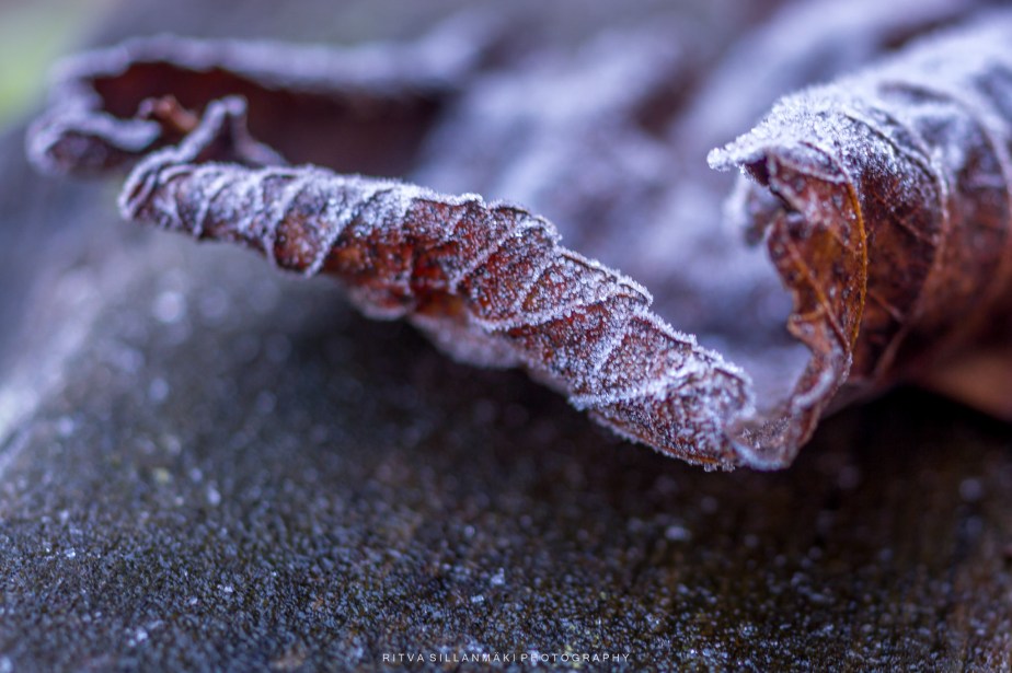 it’s in the details&nbsp;#2