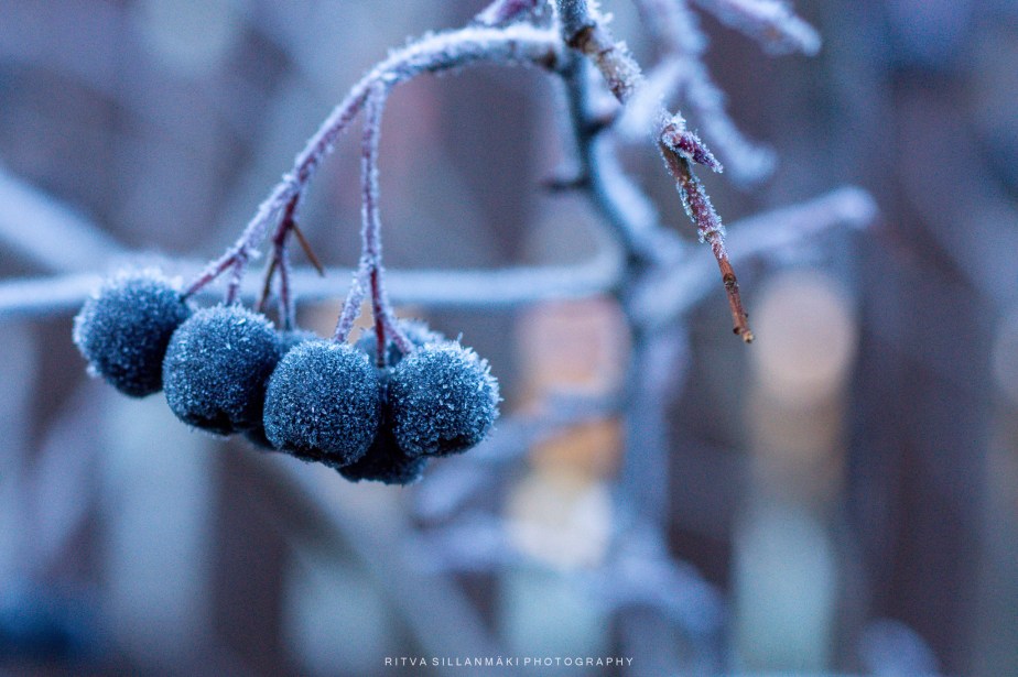 Slowing Down in a Fast-Paced&nbsp;World