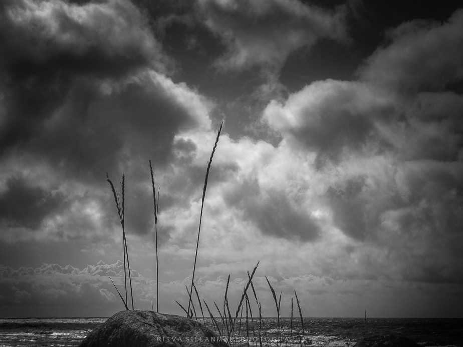Monochrome Madness –&nbsp;clouds