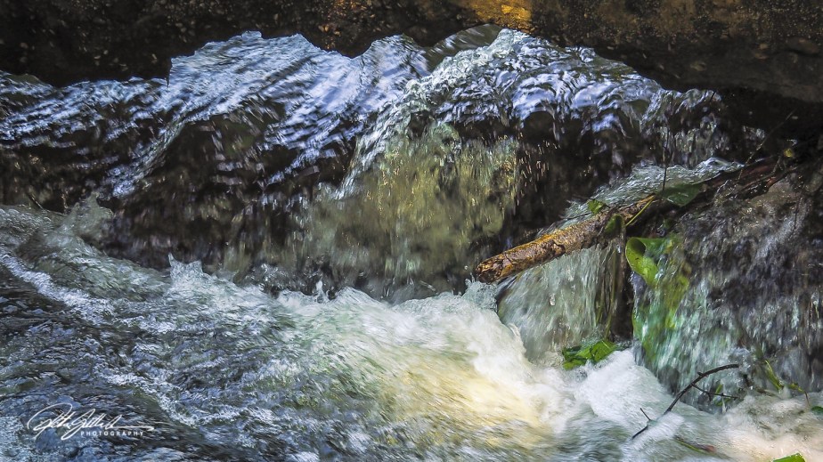 Lens-Artists Challenge – 5&nbsp;Elements