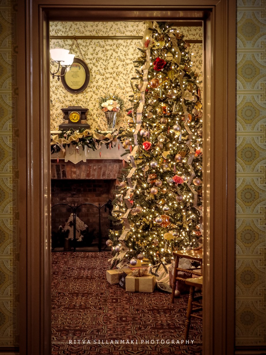 Lens-Artists Challenge #377 – Holiday&nbsp;Fun