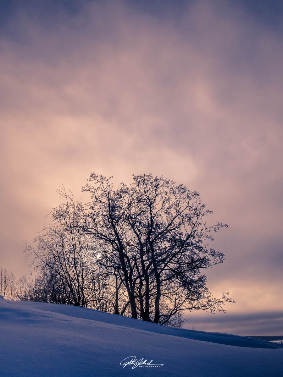 Lens-Artists Challenge #328 –&nbsp;Winter