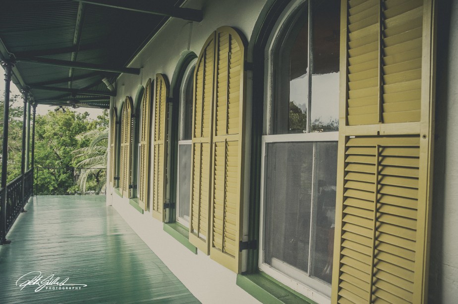 Looking in and&nbsp;out