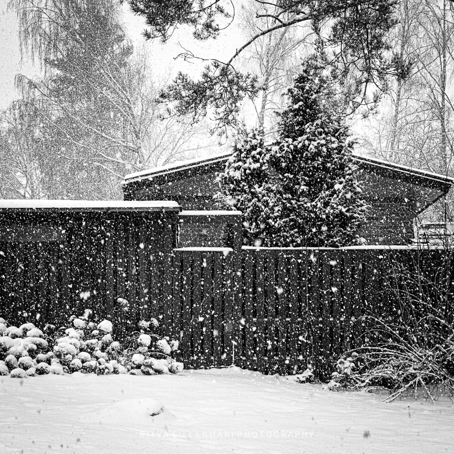 square ⬜  in the&nbsp;meantime