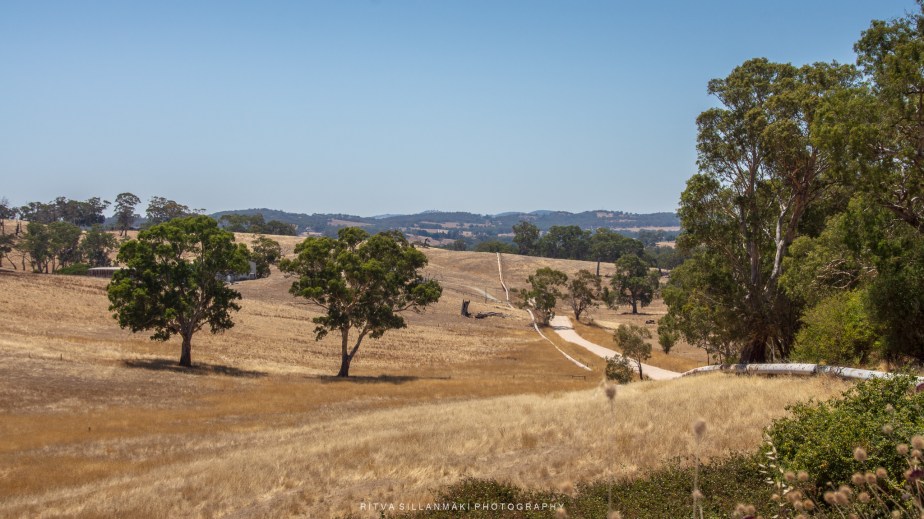 Unforgettable Views at Barossa&nbsp;Valley