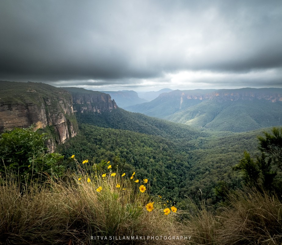 Lens-Artists Challenge #341 – Personal&nbsp;Favorites