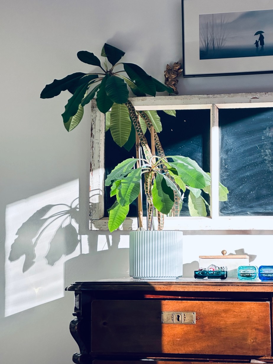 Someone needs to start cleaning&nbsp;fast