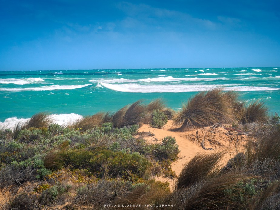 cotton candy and Turquoise&nbsp;Waters