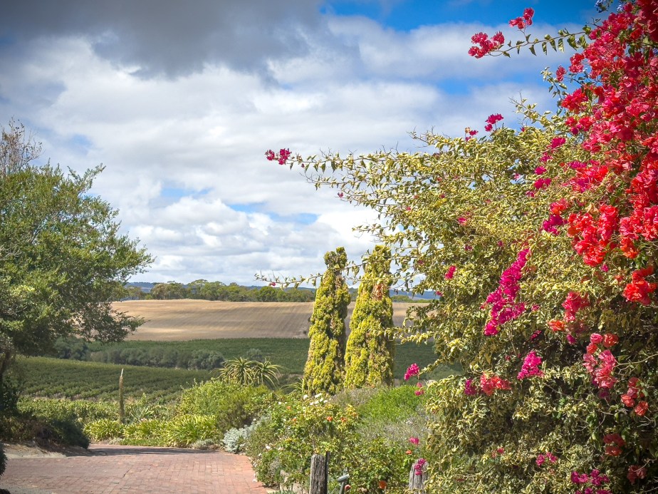 A Day in McLaren Vale: Wineries and Scenic&nbsp;Views