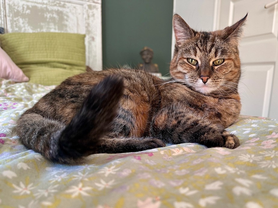 I don’t wish to be&nbsp;disturbed