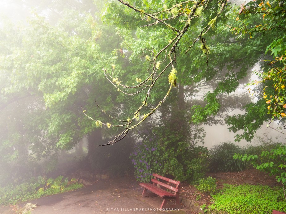 Red Bench under lush&nbsp;greenery