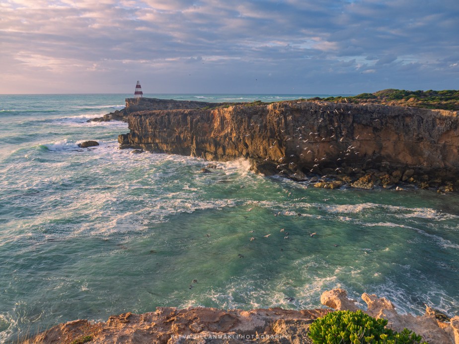 The Robe Obelisk: A Historic&nbsp;Landmark