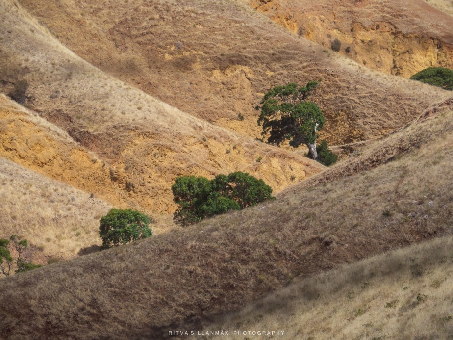 the end of a beautiful relationship&nbsp;lookout