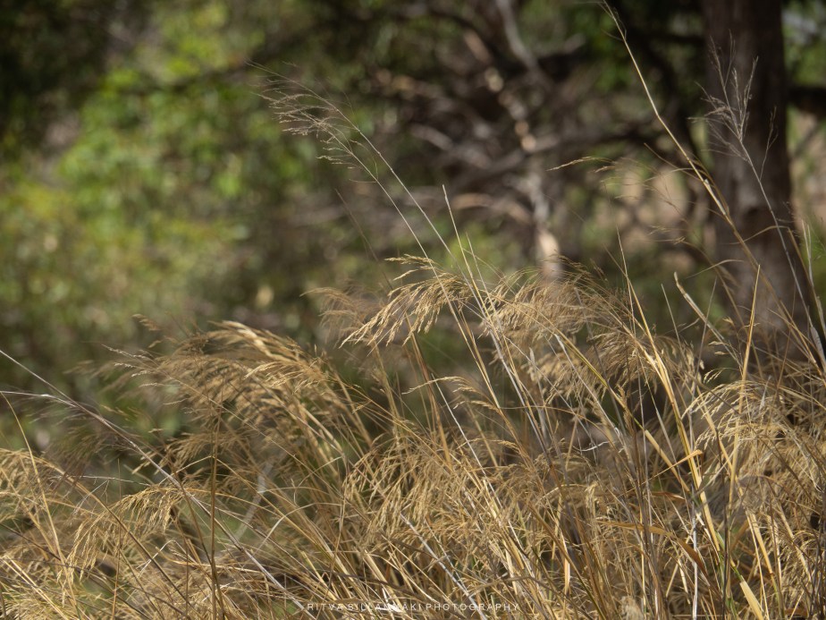 Sometimes the mundane can be&nbsp;eye-catching