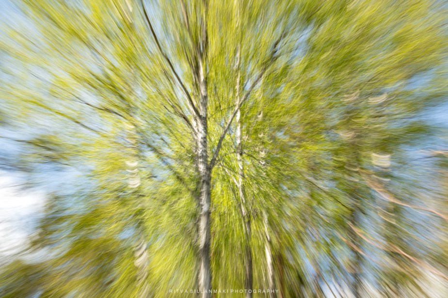Lens-artists challenge #350 –&nbsp;zooming
