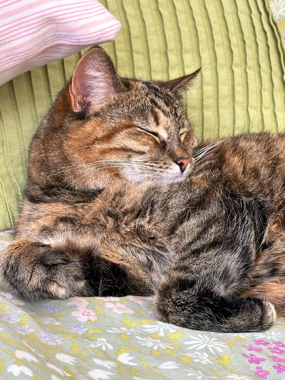 Last on the card April&nbsp;2025