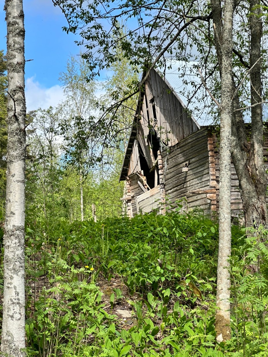 Still standing tall against the&nbsp;odds