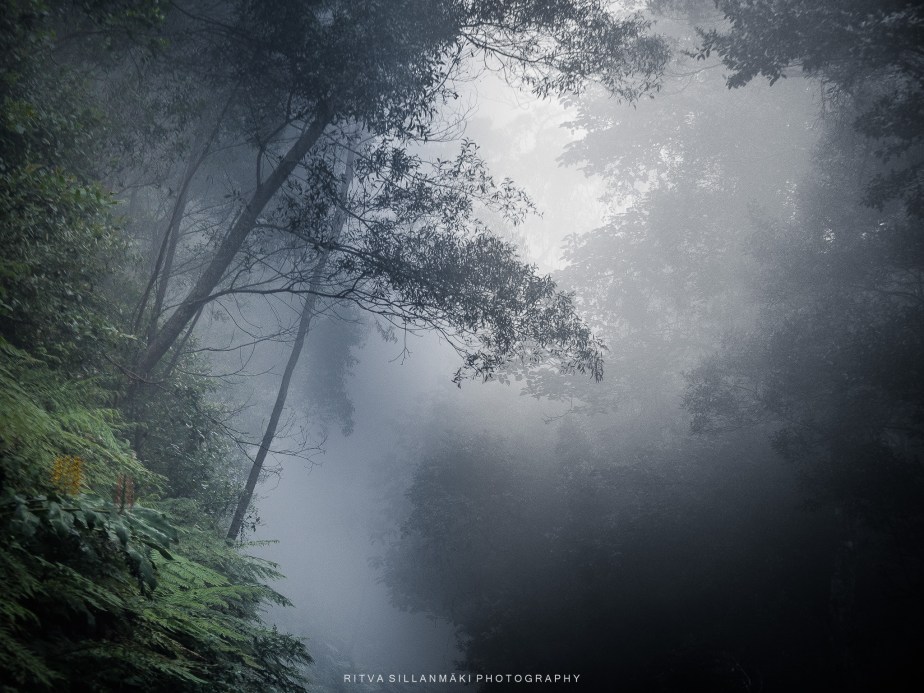 Lens-Artists Challenge #348: Serenity