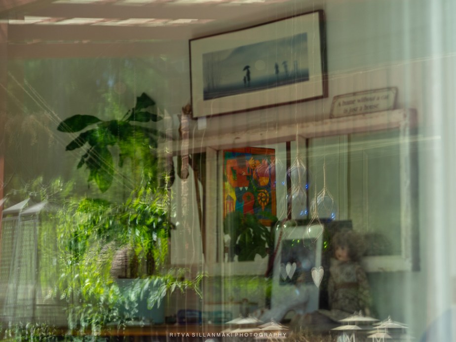 monday window Reflections