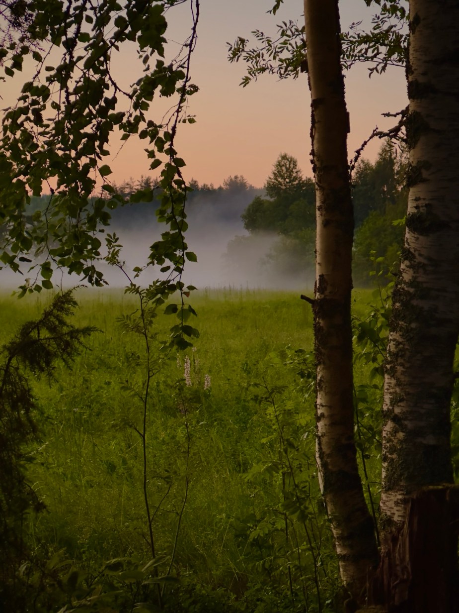 In the quiet of the&nbsp;night