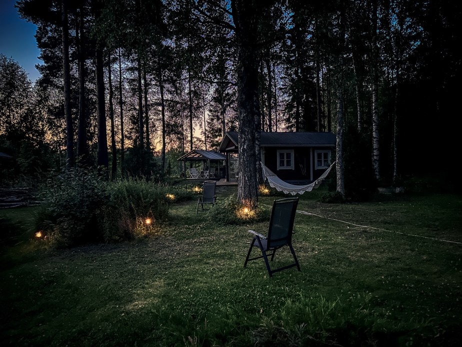 Twinkle of lights in my&nbsp;yard