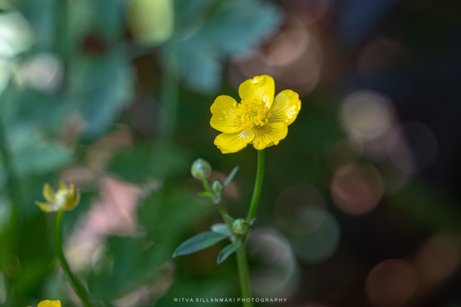 Last on the card – June&nbsp;2025