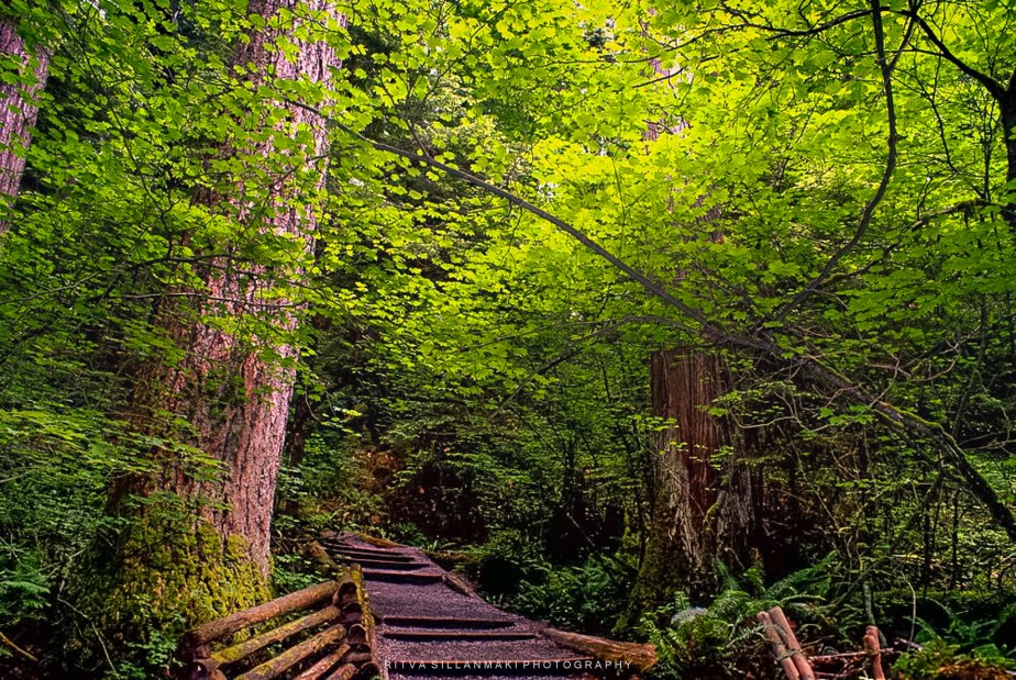 Lens-Artists Challenge #358 – Live and&nbsp;Learn