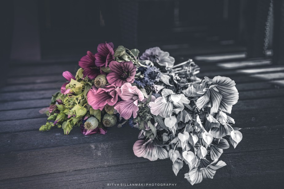 The editing –&nbsp;One-to-Three