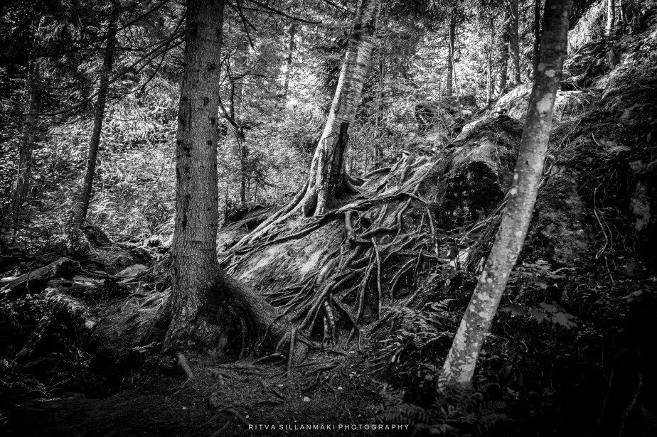 Capturing Depth with Backlighting in&nbsp;Photos