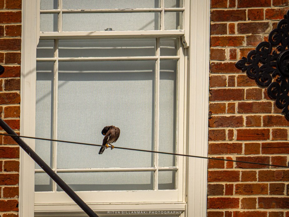 Lens-Artists Challenge #359 – Tools of Photo Composition: Lines, Colors, and&nbsp;Patterns