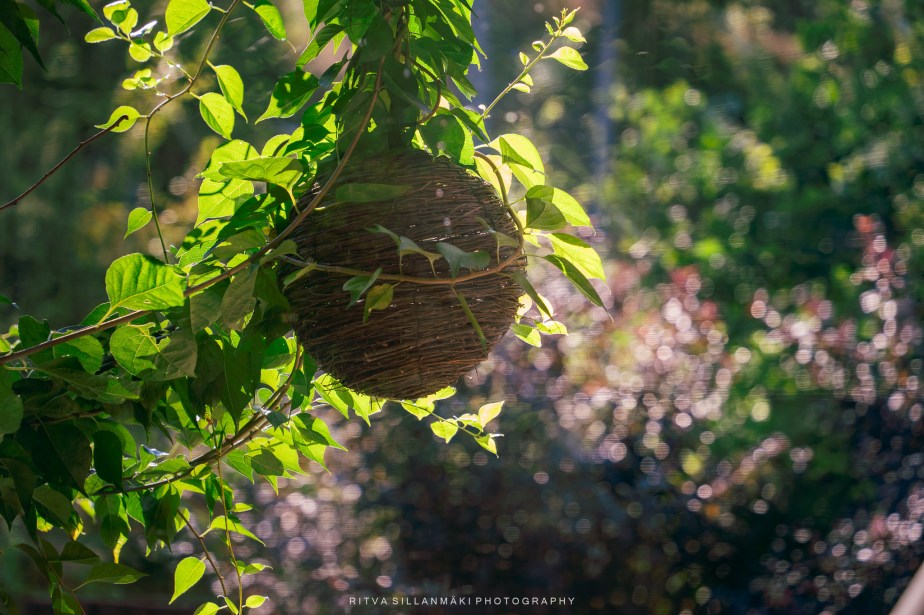 Finding Joy in Everyday&nbsp;Wonders