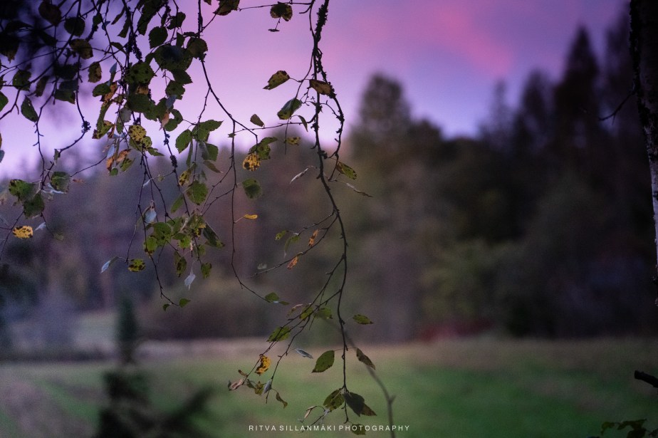 Nature’s stunning Canvas