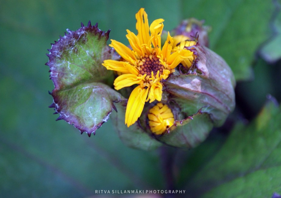 There is melancholy in the&nbsp;air