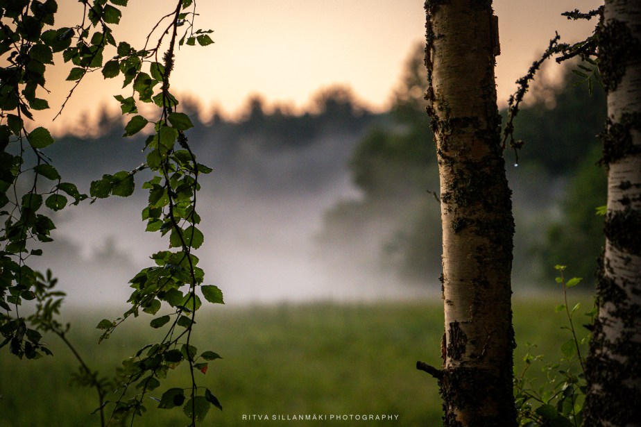 shush – wordless&nbsp;Wednesday