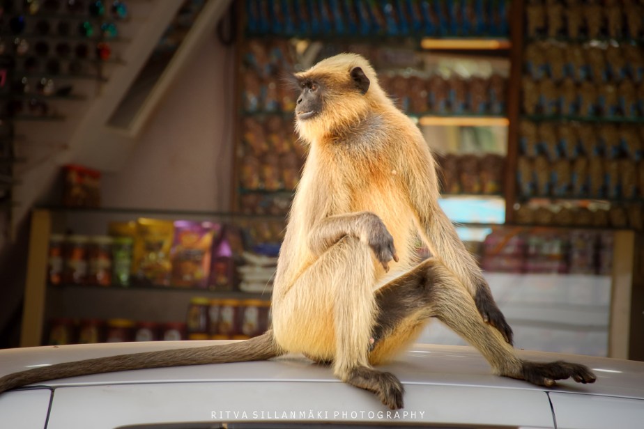 you want me to move –&nbsp;NO!