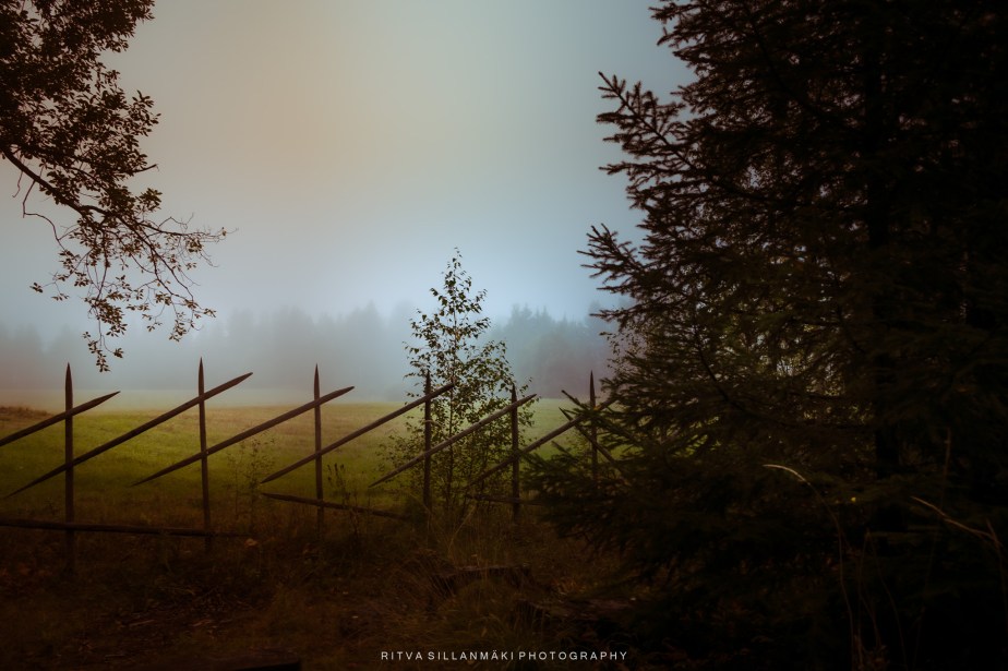 Foggy field – Nature’s morning&nbsp;Calm