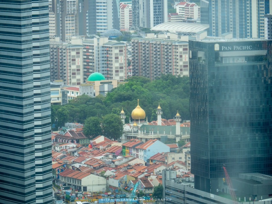 Lens-Artists Challenge #366– City Mouse/Country&nbsp;Mouse