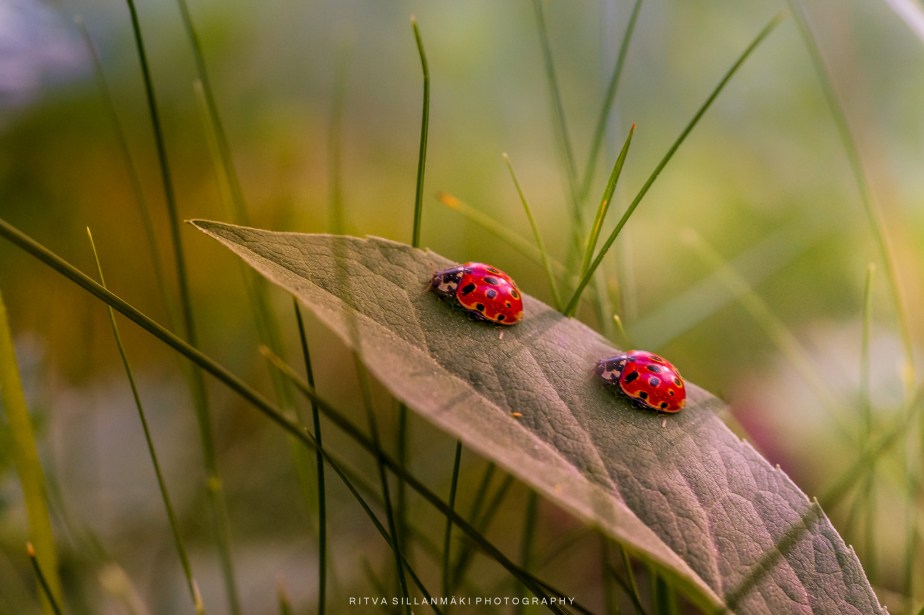 Just the two of&nbsp;us