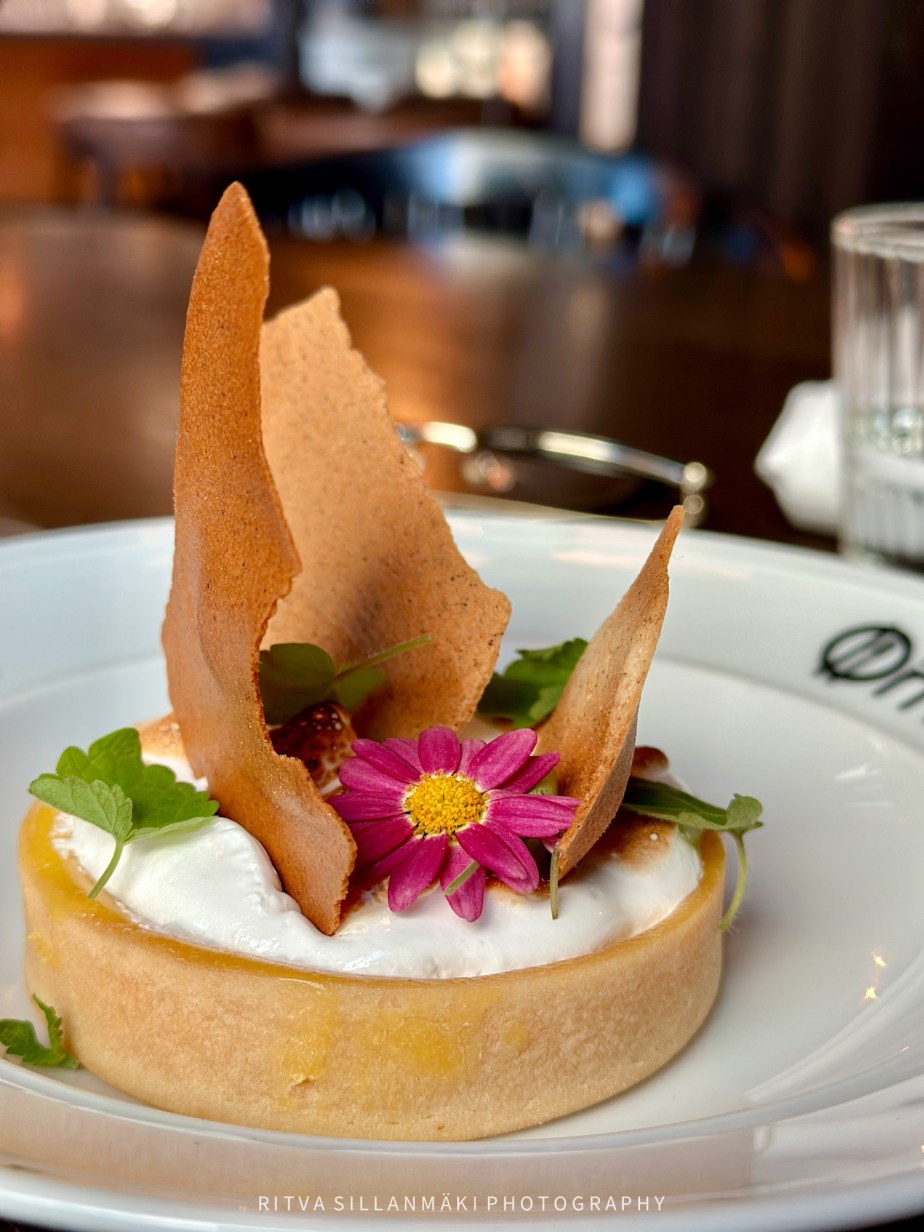  Cellpic Sunday- Ladies&nbsp;lunch