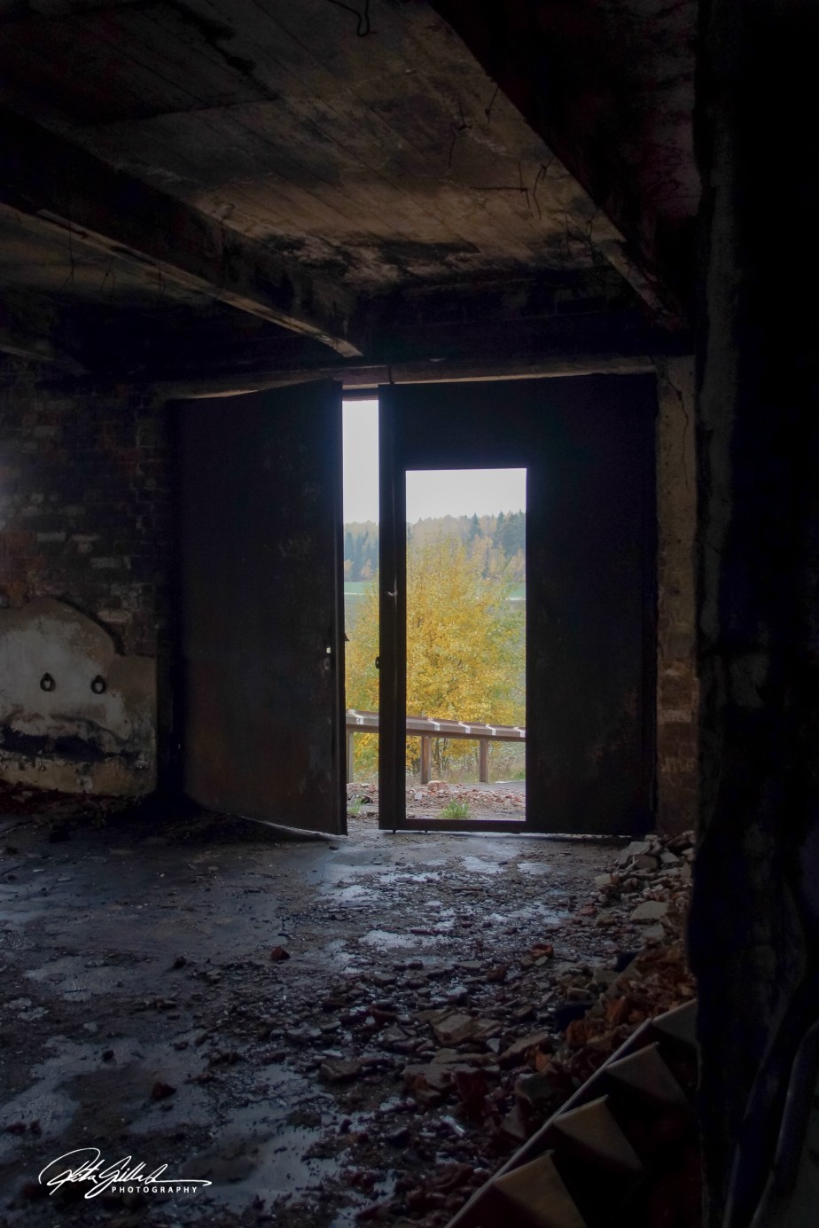 Nature Through Abandoned&nbsp;Doors