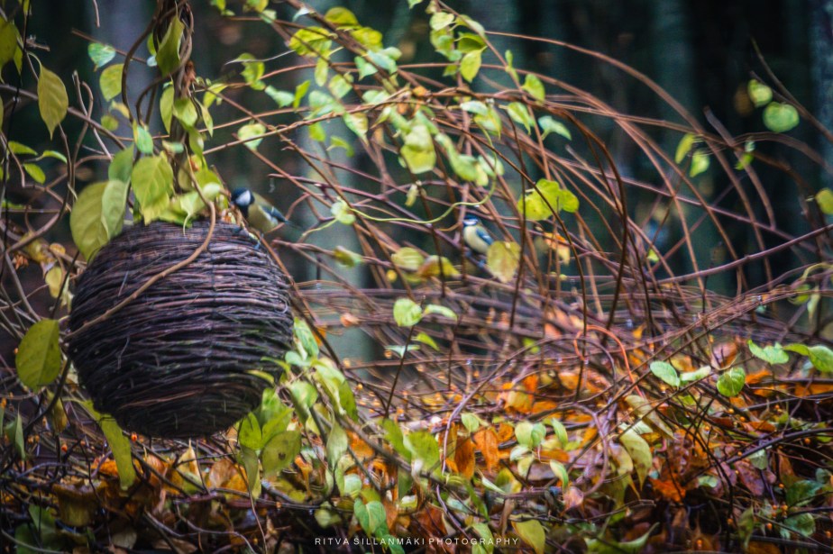 How to Survive November 2025 –&nbsp;4