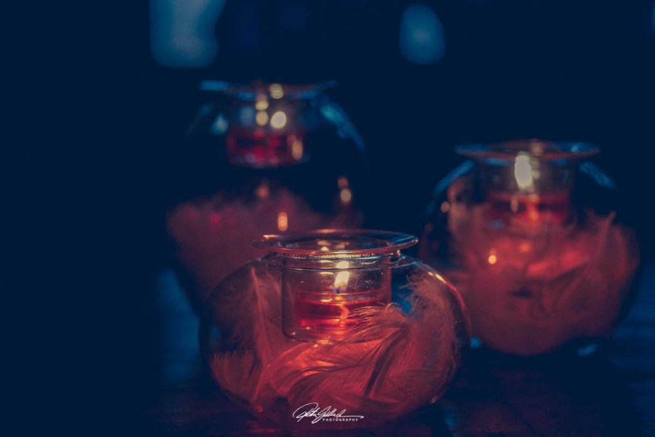 How to Survive November 2025 –&nbsp;27