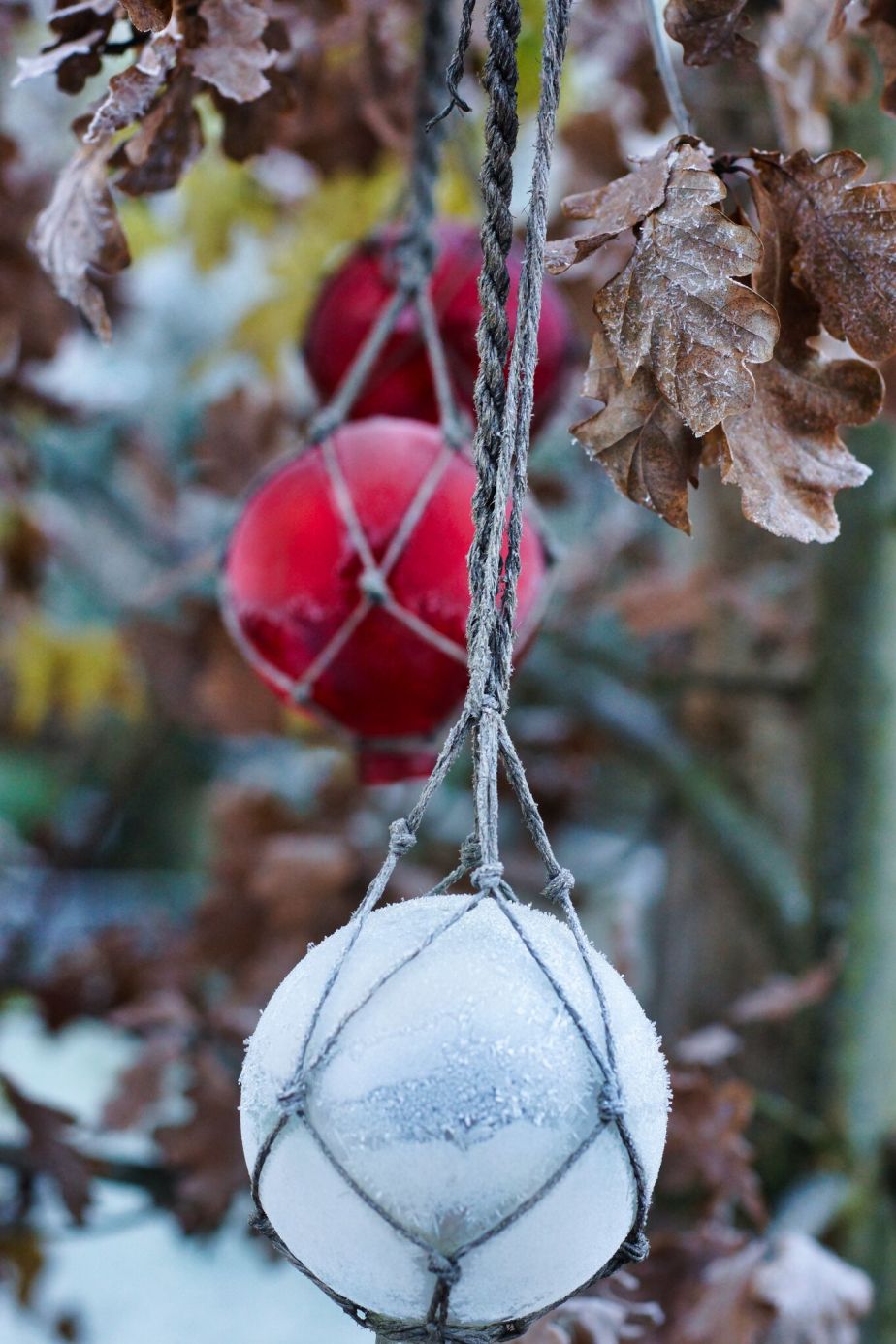 How to Survive November 2025 –&nbsp;25