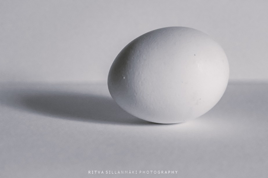 How to Survive November 2025 –&nbsp;7