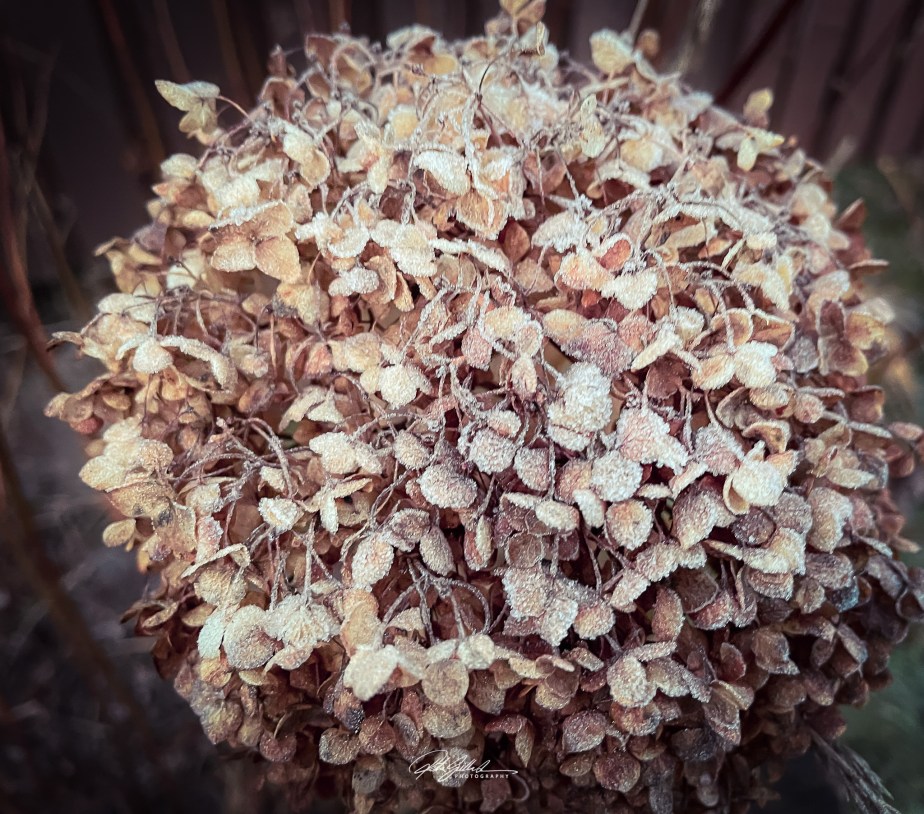 How to Survive November 2025 –&nbsp;19