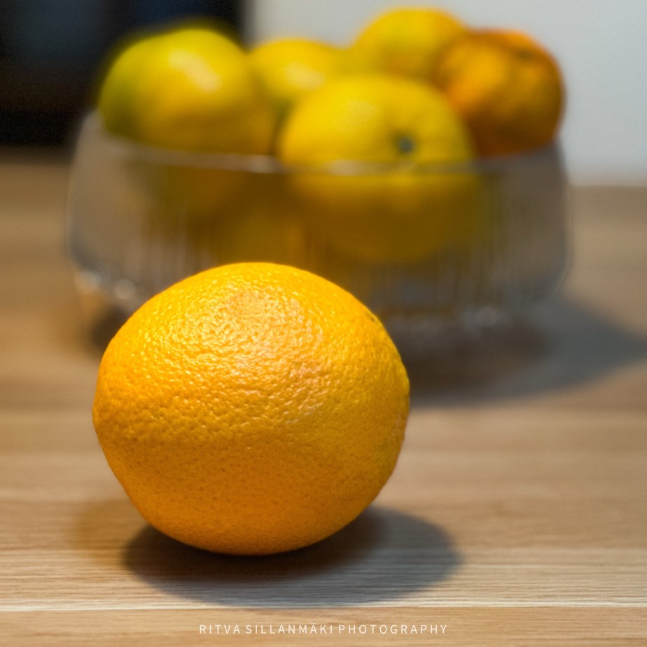 How to Survive November 2025 –&nbsp;1