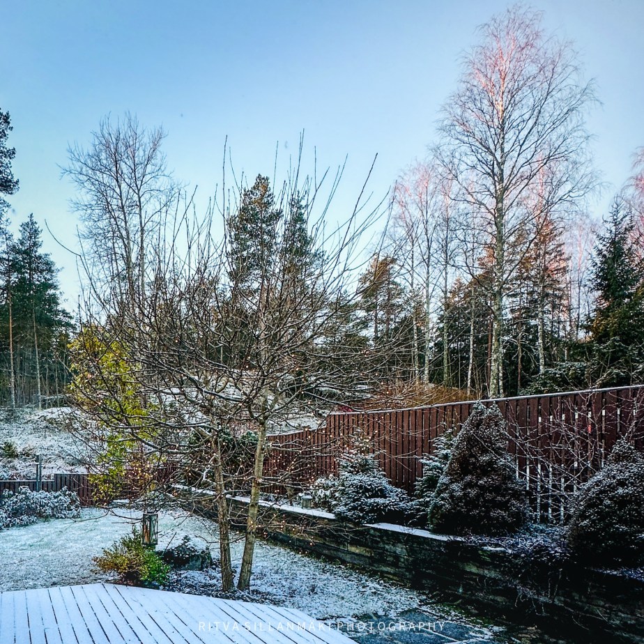 blue sky and dust of&nbsp;snow